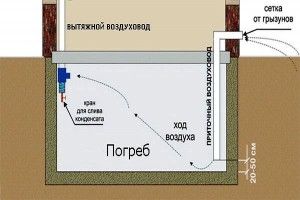 Фото: Вентиляция в погребе